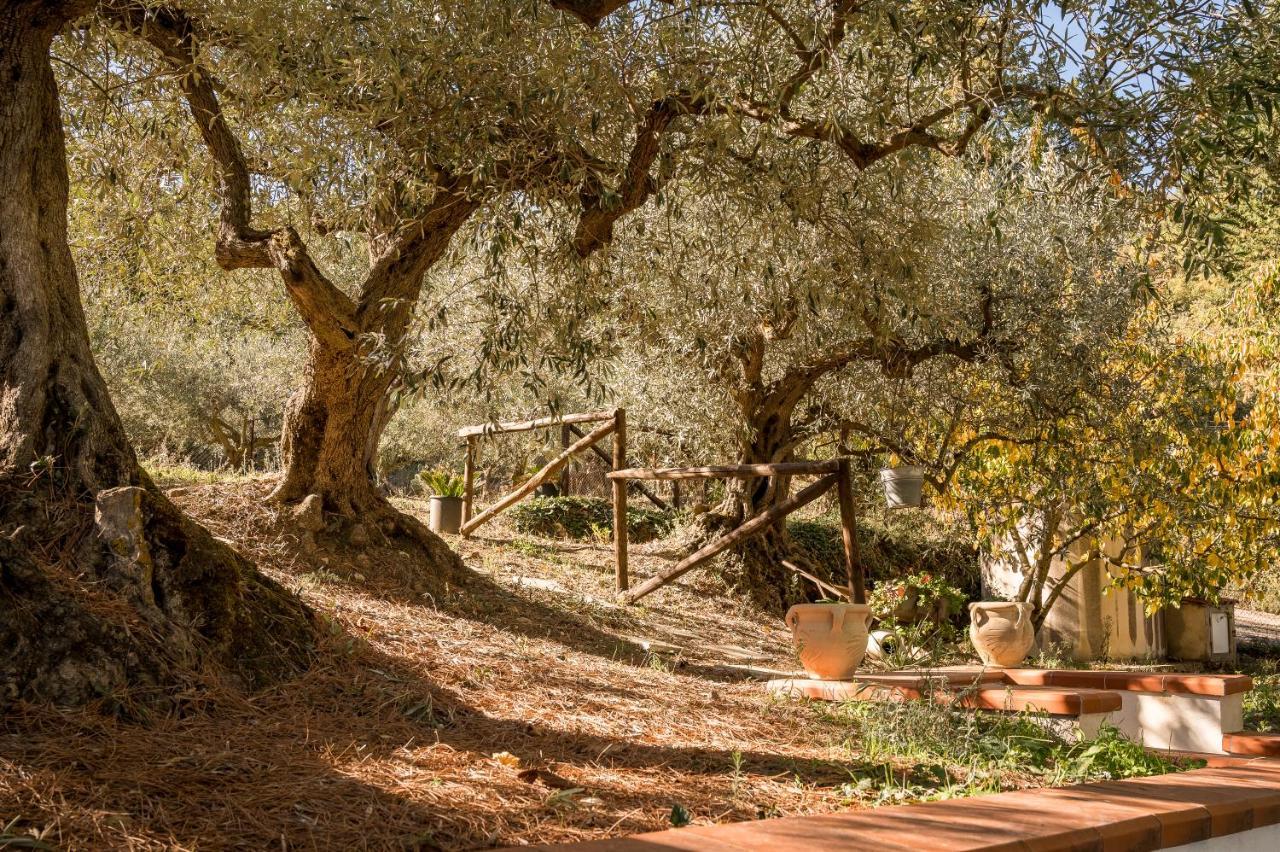 Villa Valateddi à Cammarata Extérieur photo